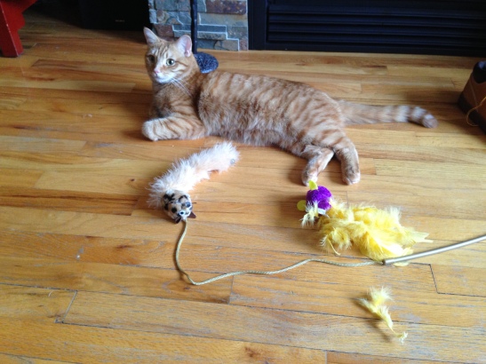 Oliver with Toys